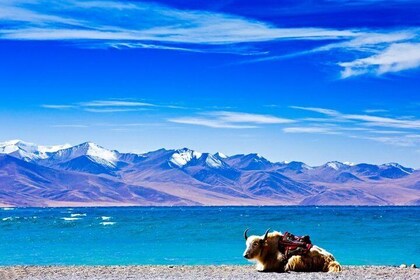 6-Day Small Group Lhasa City and Holy Lake Namtso Tour from Suzhou
