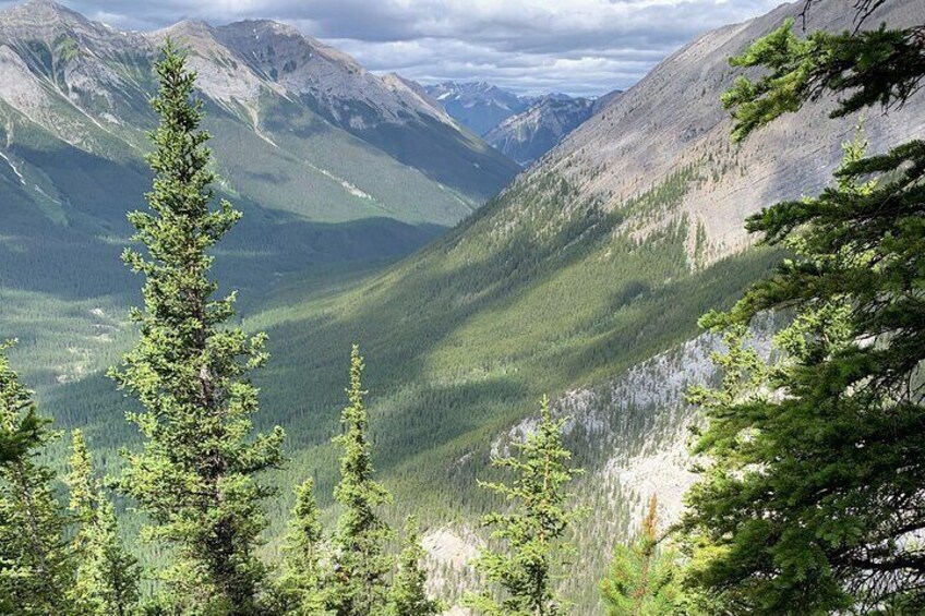 Intro to Mountains - 5hr Summit Hike