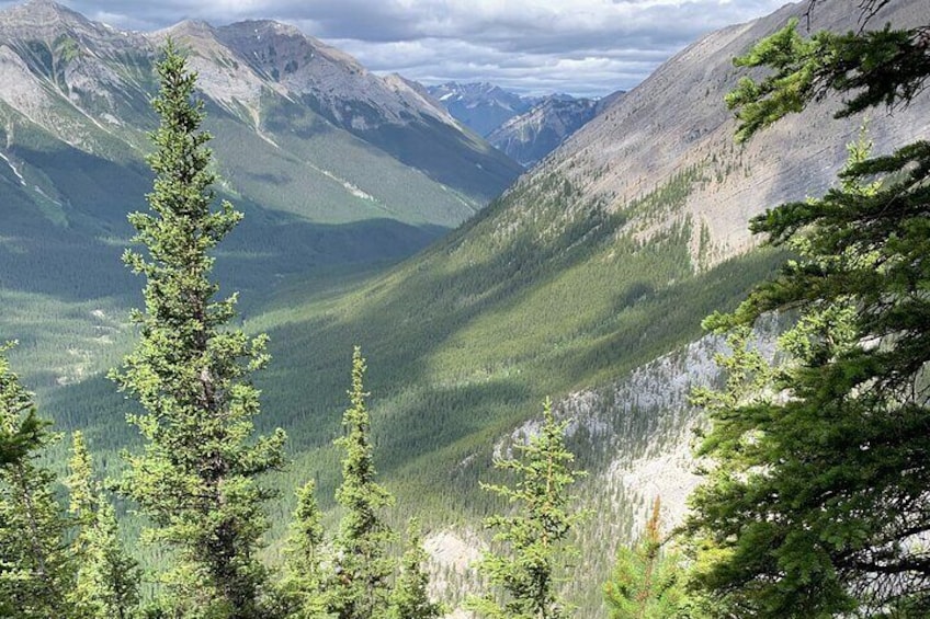 Intro to Mountains - 5hr Summit Hike