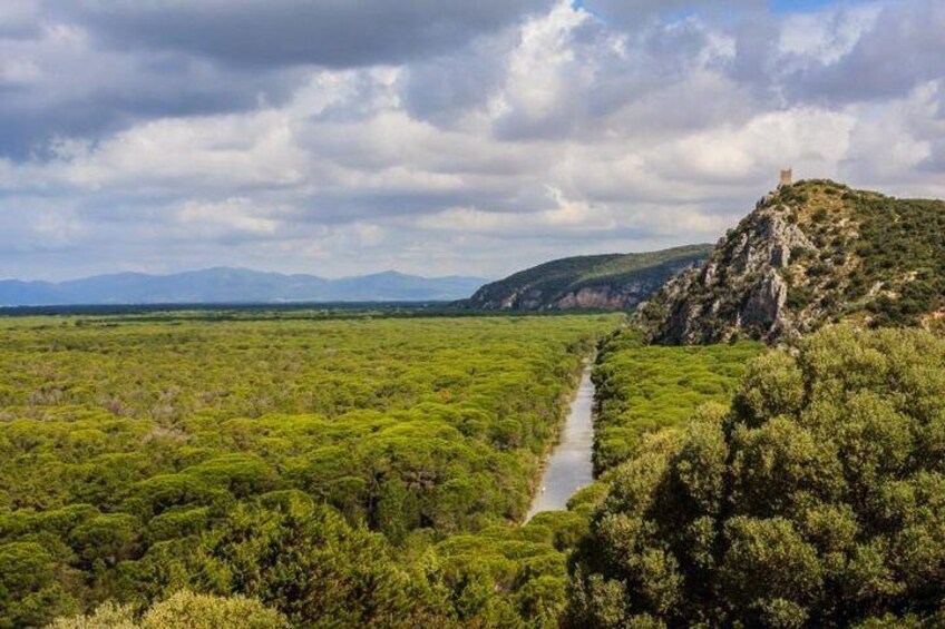 A view of the Maremma park