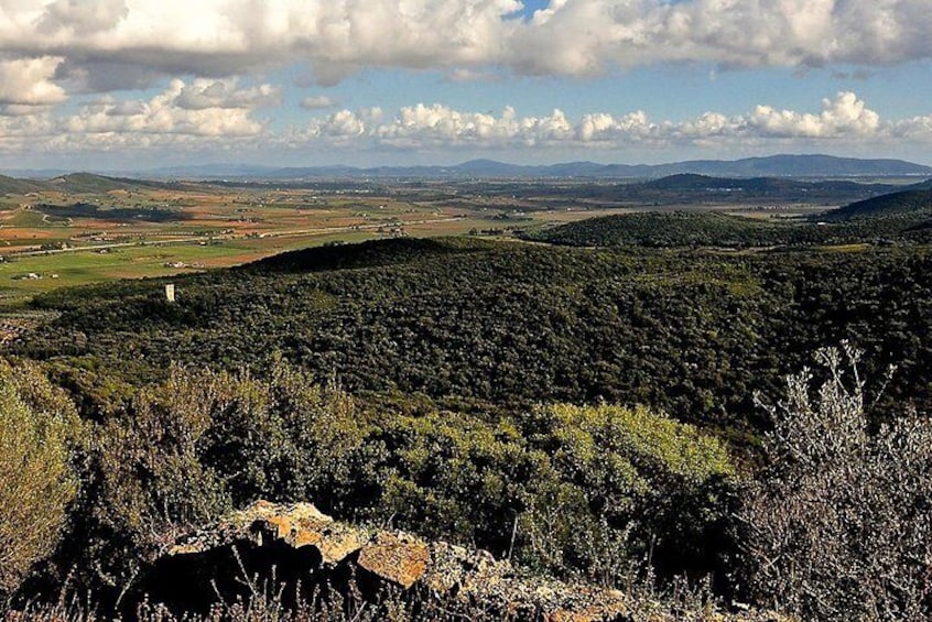 Typical landscape of the Maremma Park