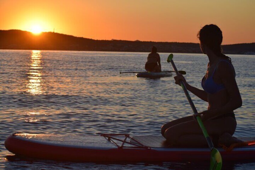 Stand Up Paddle With Dolphins