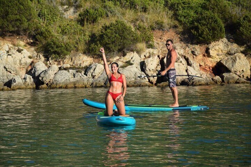 Stand Up Paddle With Dolphins