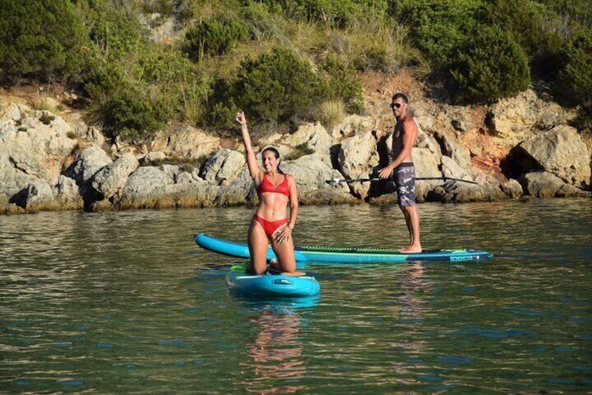 Stand Up Paddle With Dolphins