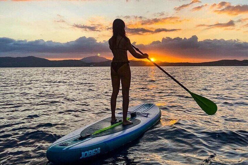 Stand Up Paddle With Dolphins