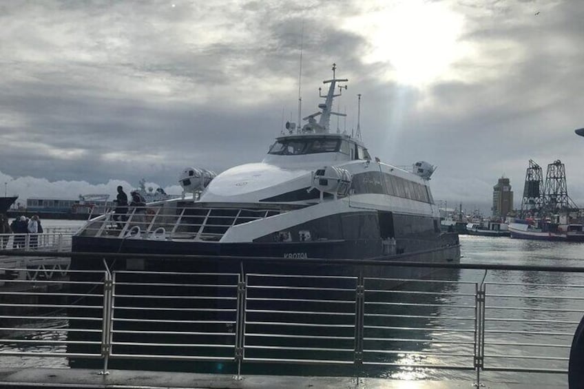 Half-Day Robben Island tour with private return transfer