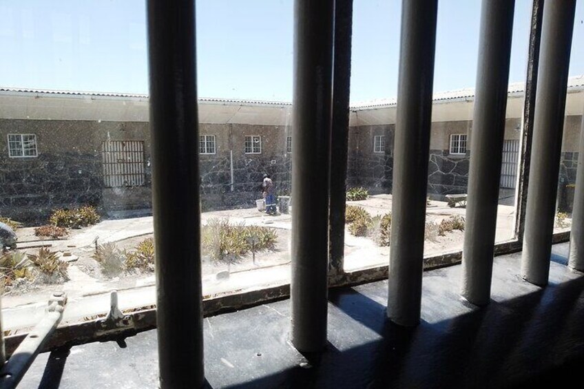 Robben Island Tour with V&A Waterfront Half Day Tour