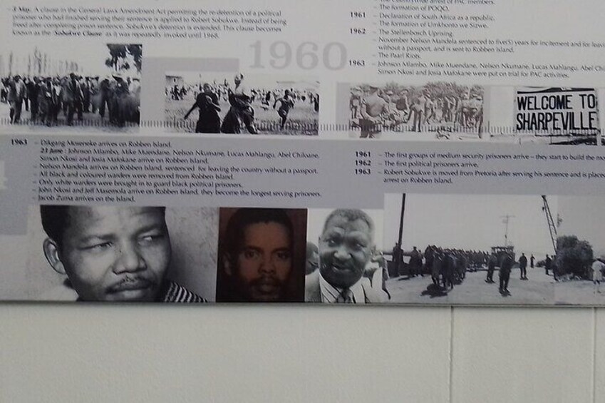 Robben Island Tour with V&A Waterfront Half Day Tour