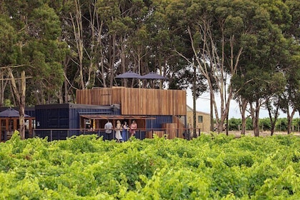 Surf and Vines - Fleurieu Peninsula All Day Adventure