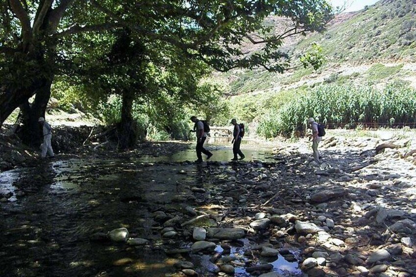Lefka Stream
