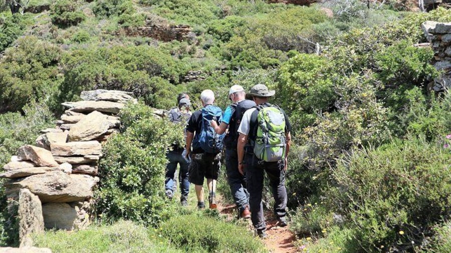 Small-Group Guided Hiking Tour in Andros with Brunch