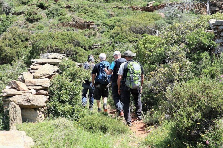 Small-Group Guided Hiking Tour in Andros with Brunch