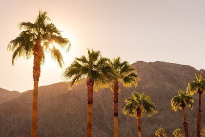 Palm Springs and Joshua Tree Self-Guided Driving Tours Bundle