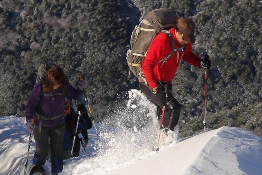 Full Day Snowshoeing Experience - Caminata con Raquetas de Nieve