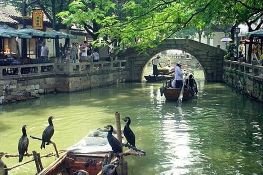 4-Hour Tongli Water Town Private Tour from Suzhou with Boat Ride