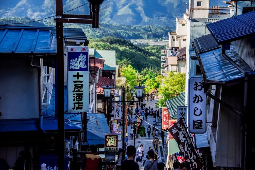 Show item 1 of 9. From Tokyo: Fukiware Falls, Fruit Picking & Ikaho Onsen Tour