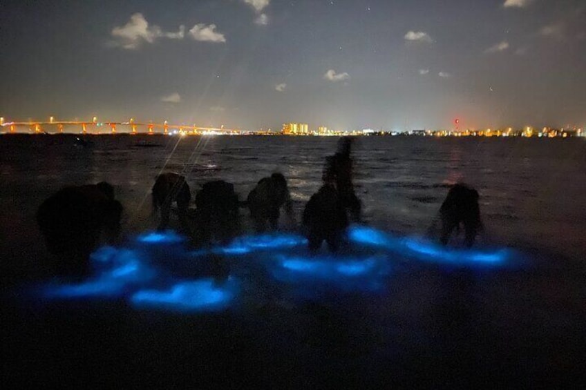 Two Hour Bioluminescence Kayak Tour Near Orlando