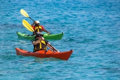 Small-Group Kayaking Experience in Sydney 