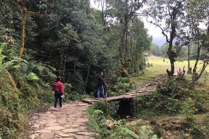 Easy Hiking to Dhampus Village from Pokhara