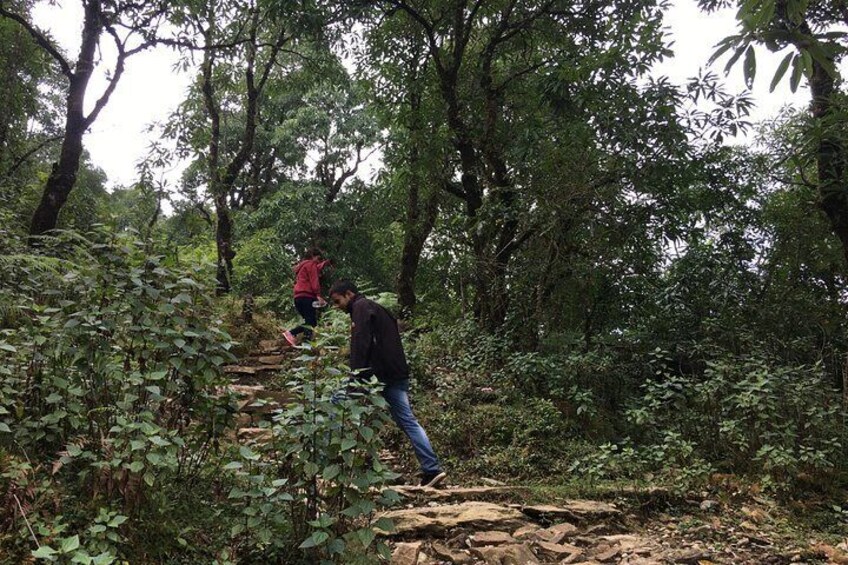 Hiking to Dhampus 