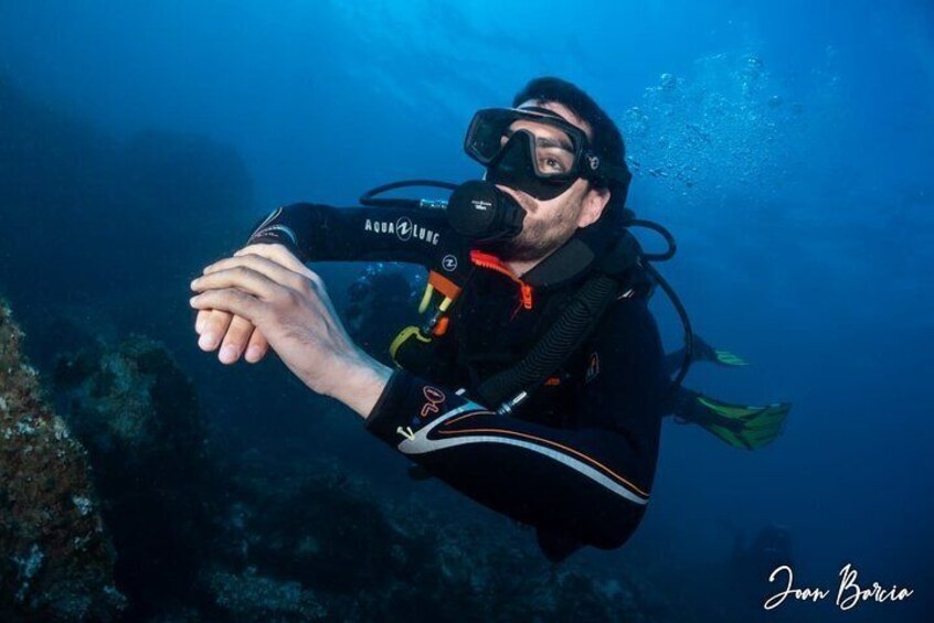 PADI Open Water Diver Course