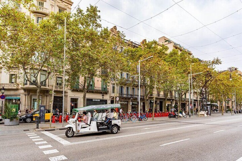 Historical Tour of Barcelona in Private Electric Tuk-Tuk