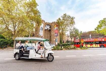 Tour of Historic Barcelona in Eco Tuk Tuk Private