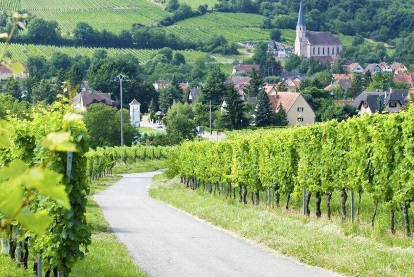 Alsace wine route