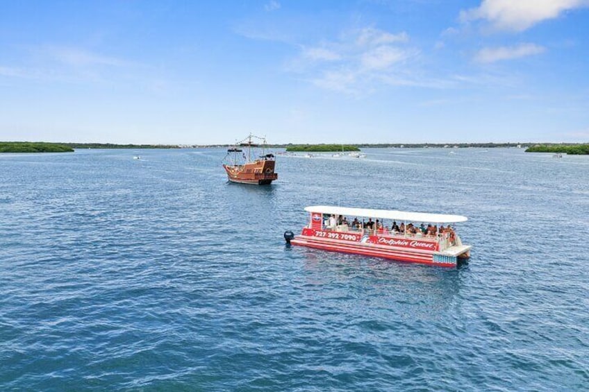 Dolphin Quest - Sightseeing/Eco Cruise, John's Pass, Madeira Beach, FL