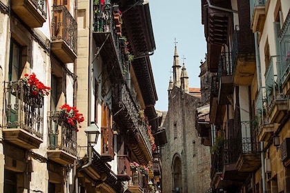 St.JAMES WAY, Basque WHALERS and HONDARRIBIA - Private Cultural Adventure