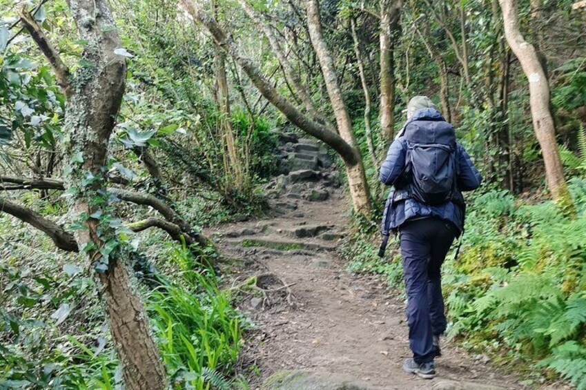 St. JAMES WAY and BASQUE WHALERS - Private Outdoor Adventure