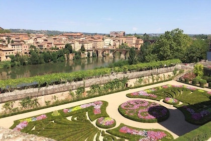 Day Tour to Albi and wine tasting in the Gaillac area.Private tour from Tou...