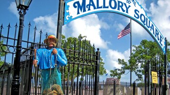 Key West Full-Day Tour from Miami