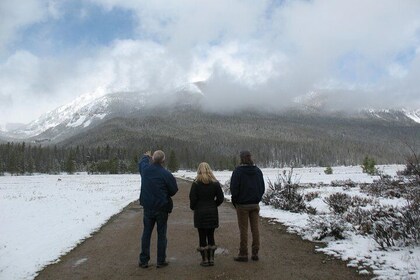 Rocky Mountain National Park Guided Tours from Grand Lake