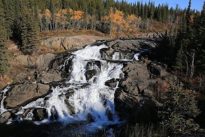 Cameron Falls Hiking Tour