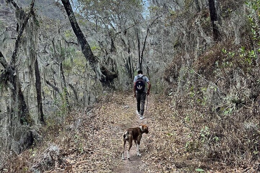 Epic Hike on Ancient Trail, Sierra Norte