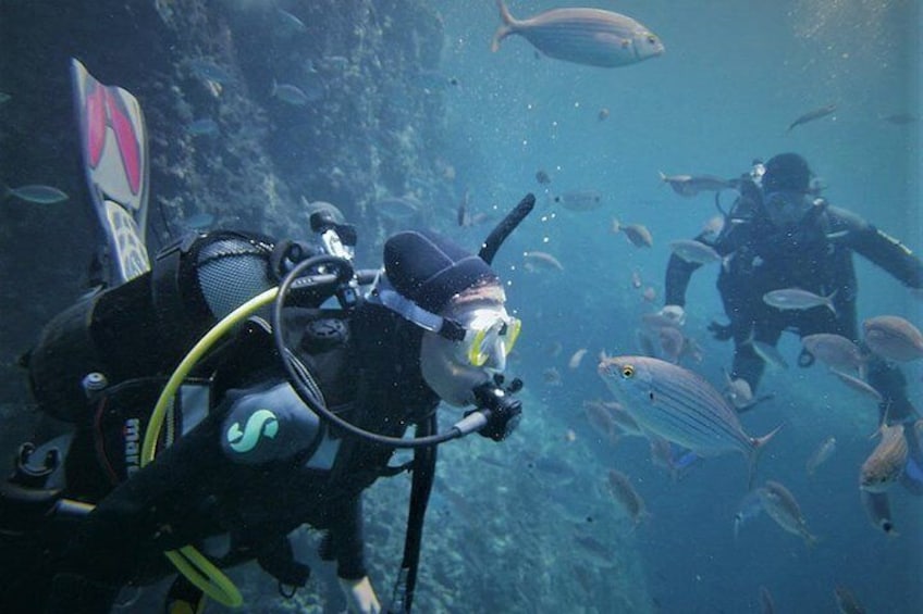 Exciting PADI Discover Scuba Diving Experience Isola Bella Marine Park Taormina