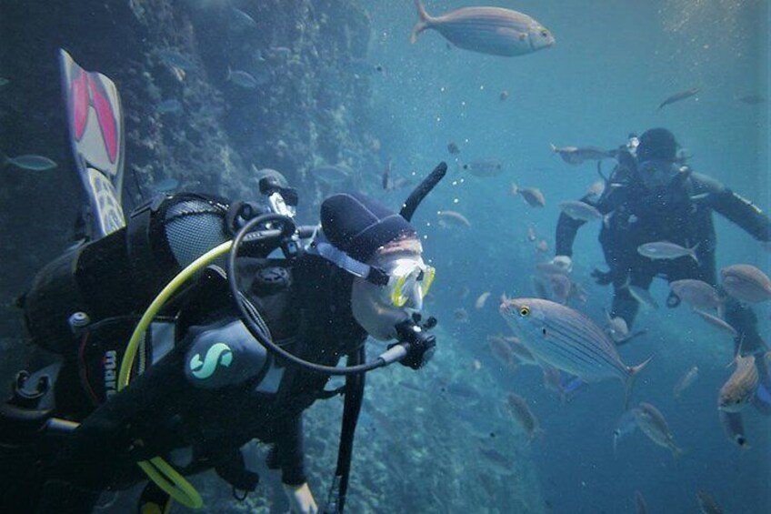 Exciting PADI Discover Scuba Diving Experience Isola Bella Marine Park Taormina