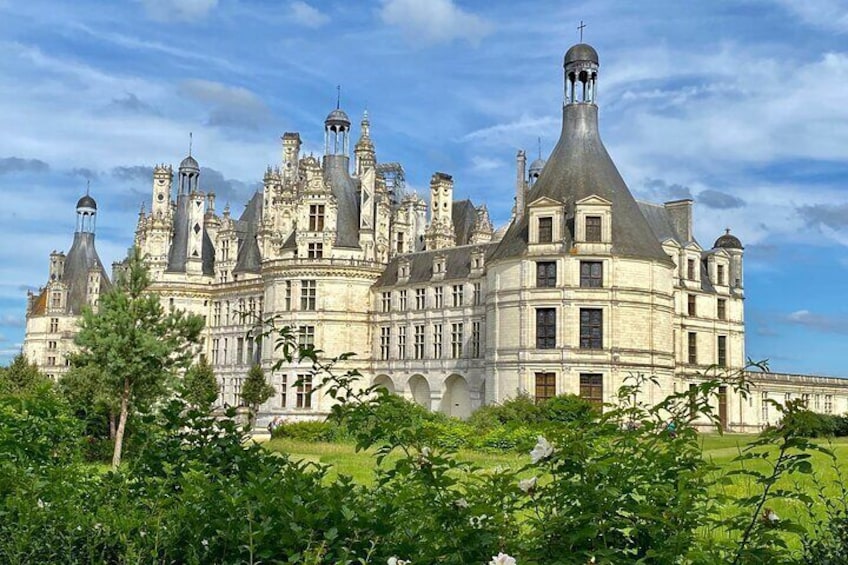 Three Loire Valley Castles Small-Group Tour from Paris, Wine Tasting