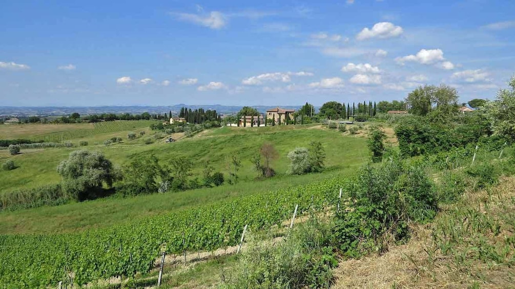 Countryside in Florence