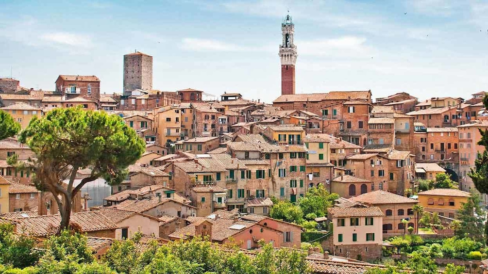 Aerial City view in Florence