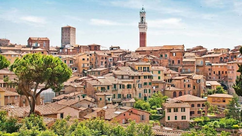 Sienne, San Gimignano, Monteriggioni et Chianti avec déjeuner et dégustatio...