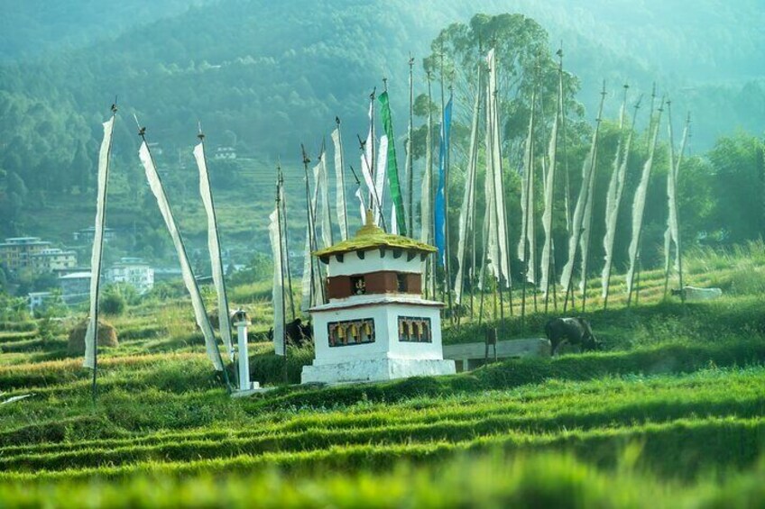 Stupa in the village of Sopsokha in Punakha valley