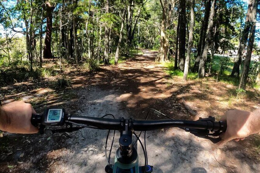 Show item 2 of 13. Forest trails...