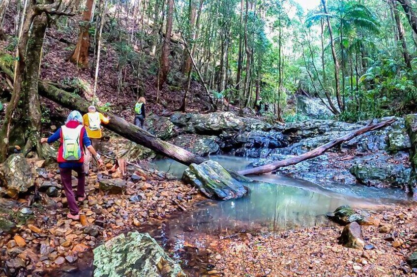 Walking the lower falls...