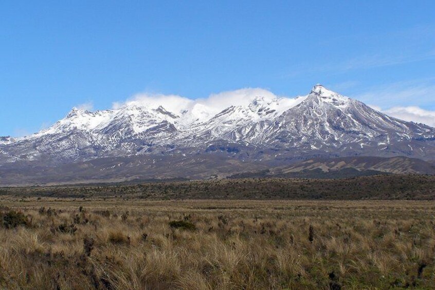 Mt.Ruapehu Tours from Auckland