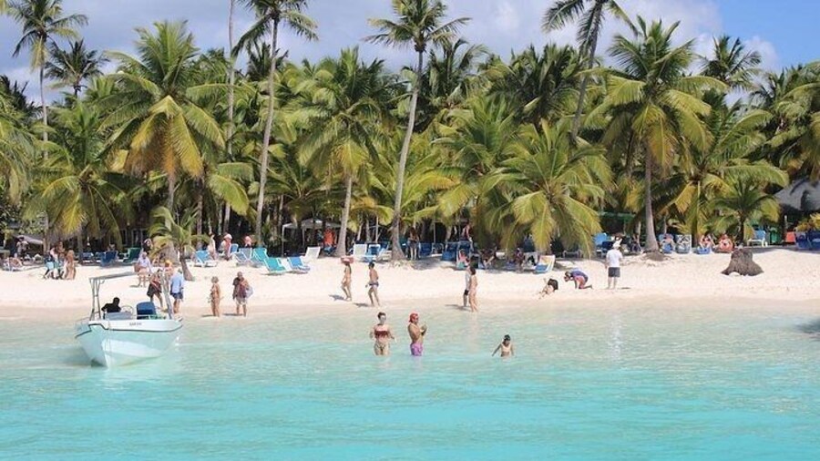 Saona Island Excursion by Catamaran and Speedboat
