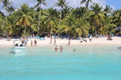 Saona Island Ausflug mit Katamaran und Schnellboot (ganzer Tag)