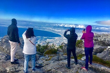 私人旅遊：桌山、企鵝棲息地和好望角，包括。公園費