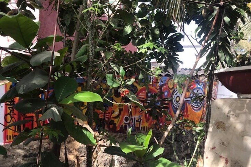 Ngor Island